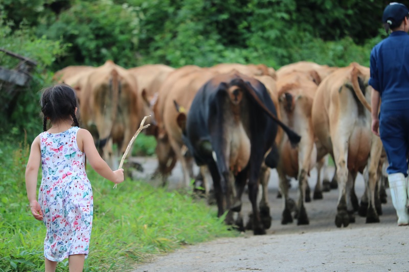 下仁田町ホームページ 神津牧場