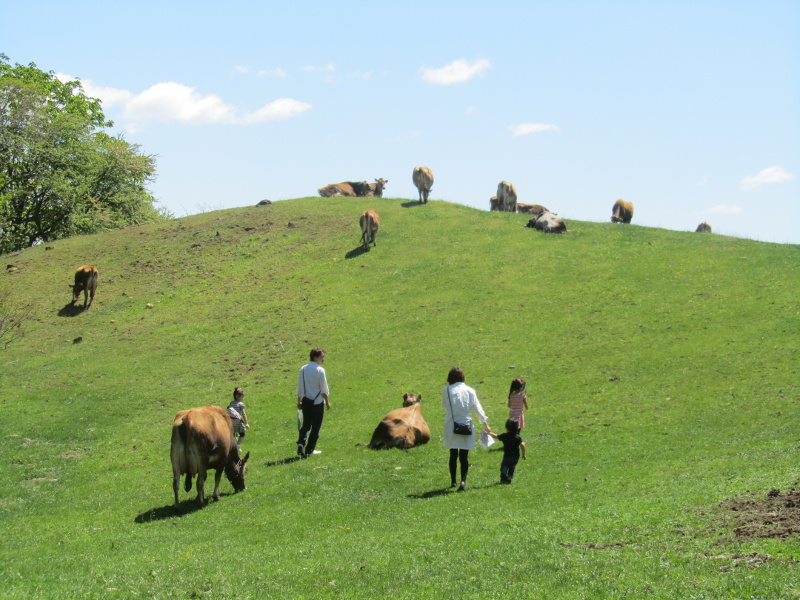 houbokuchi2015.JPG