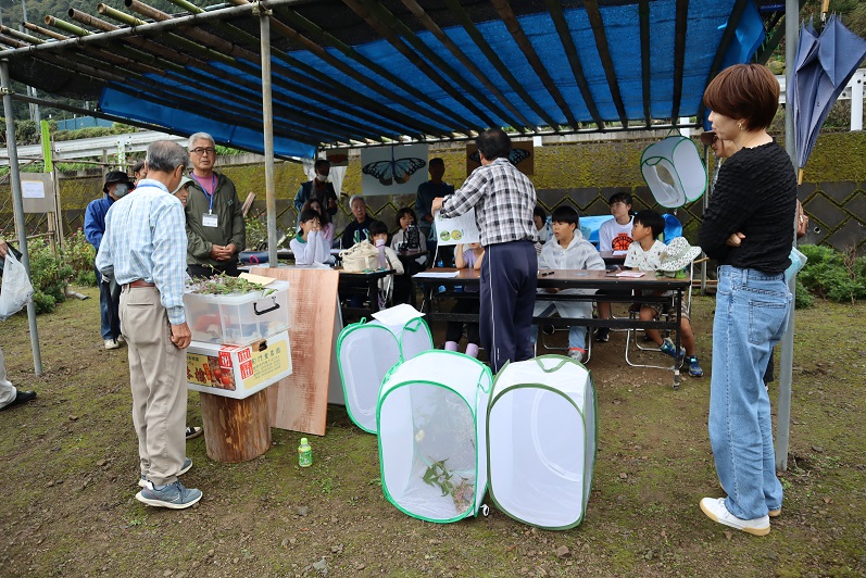 アサギマダラ2025