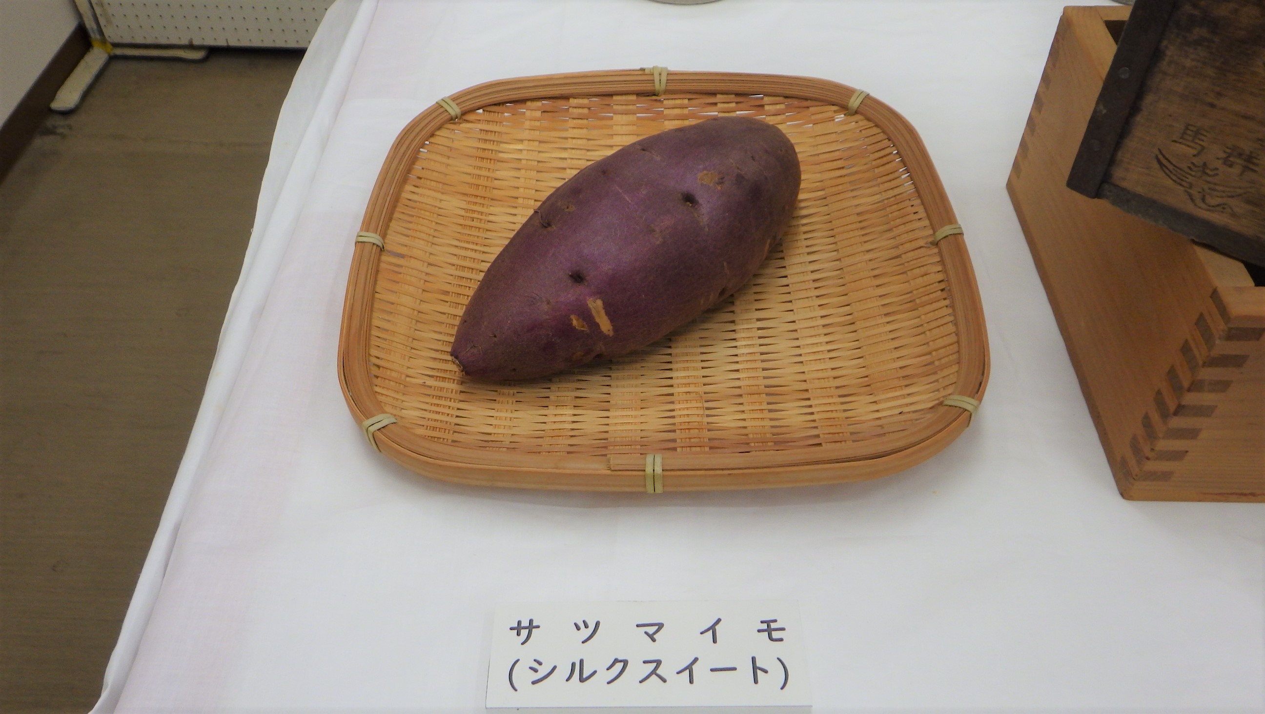 サツマイモ