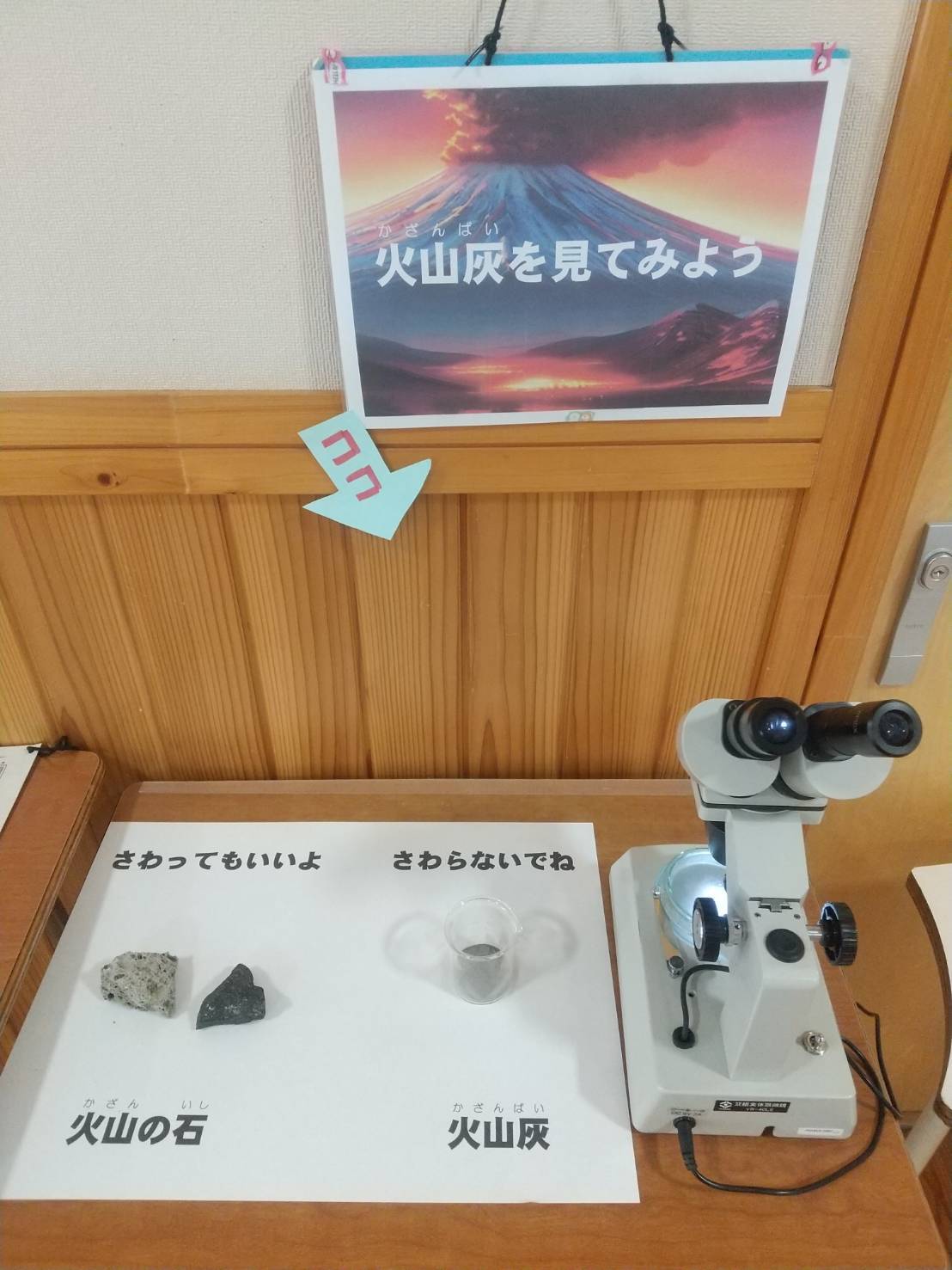 紹介コーナー3