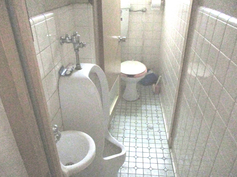 の画像