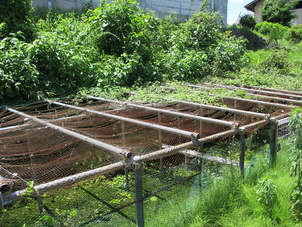 detached 大字馬山