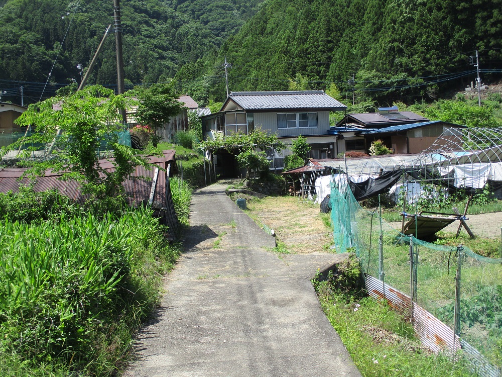 の画像