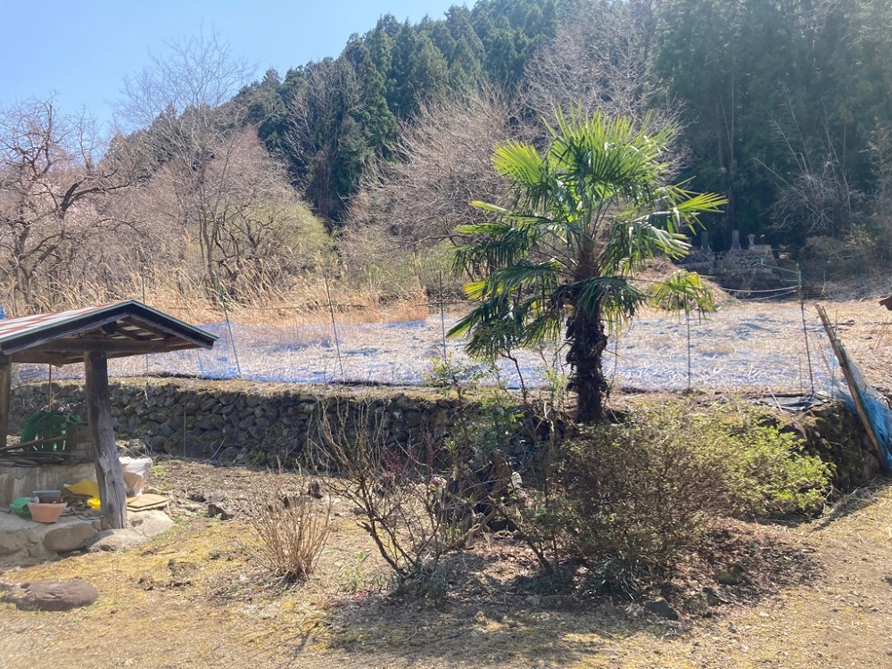 の画像