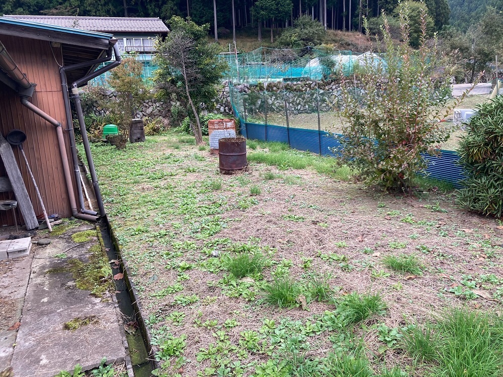 の画像