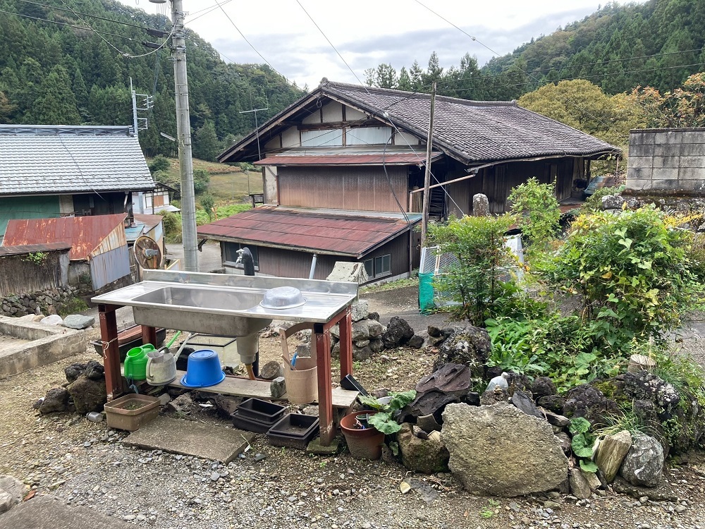 の画像