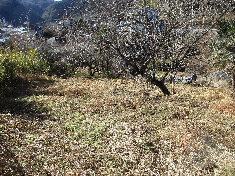 の画像