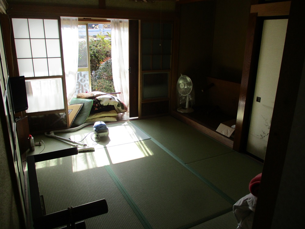 の画像