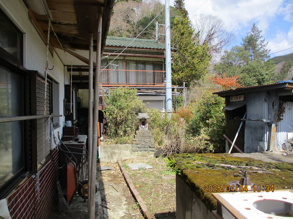 の画像