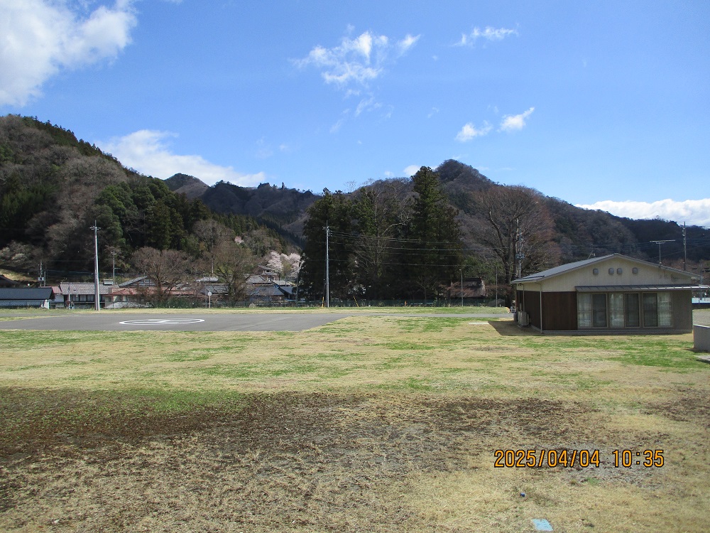 の画像