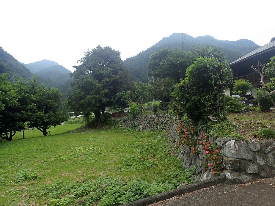 の画像